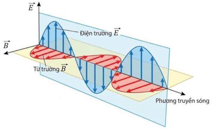Sóng điện từ là gì? Đặc điểm các loại sóng điện từ