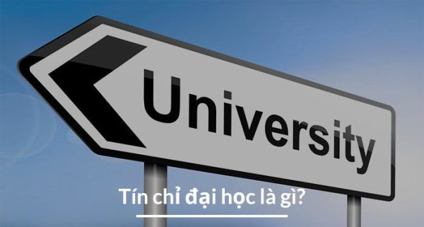 Tín chỉ là gì? Học phần là gì? Một năm phải học bao nhiêu tín chỉ?
