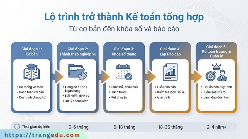 Infographic lộ trình trở thành kế toán tổng hợp